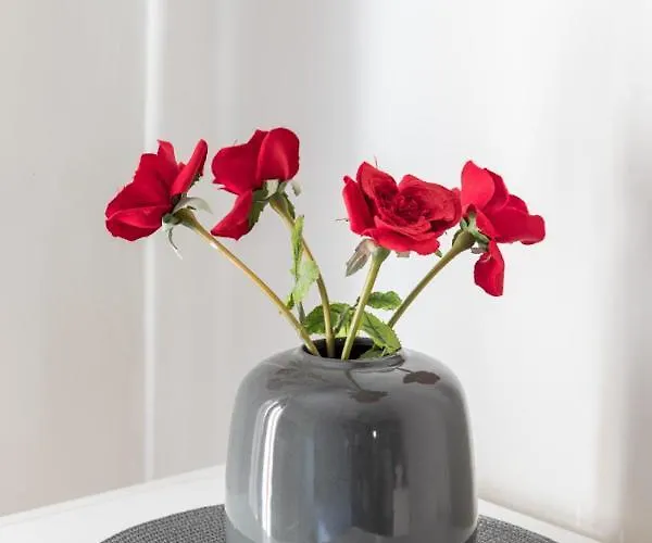 Irodotou Apartment Thessaloniki