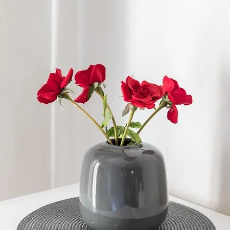 Irodotou Διαμέρισμα Θεσσαλονίκη